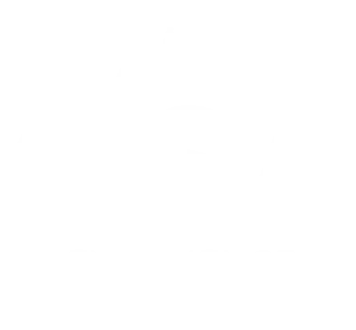 Osa Experience
