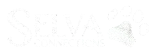 Selva Connections