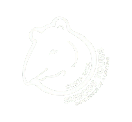 Surcos Tours