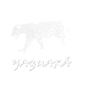 Asociación Yaguará