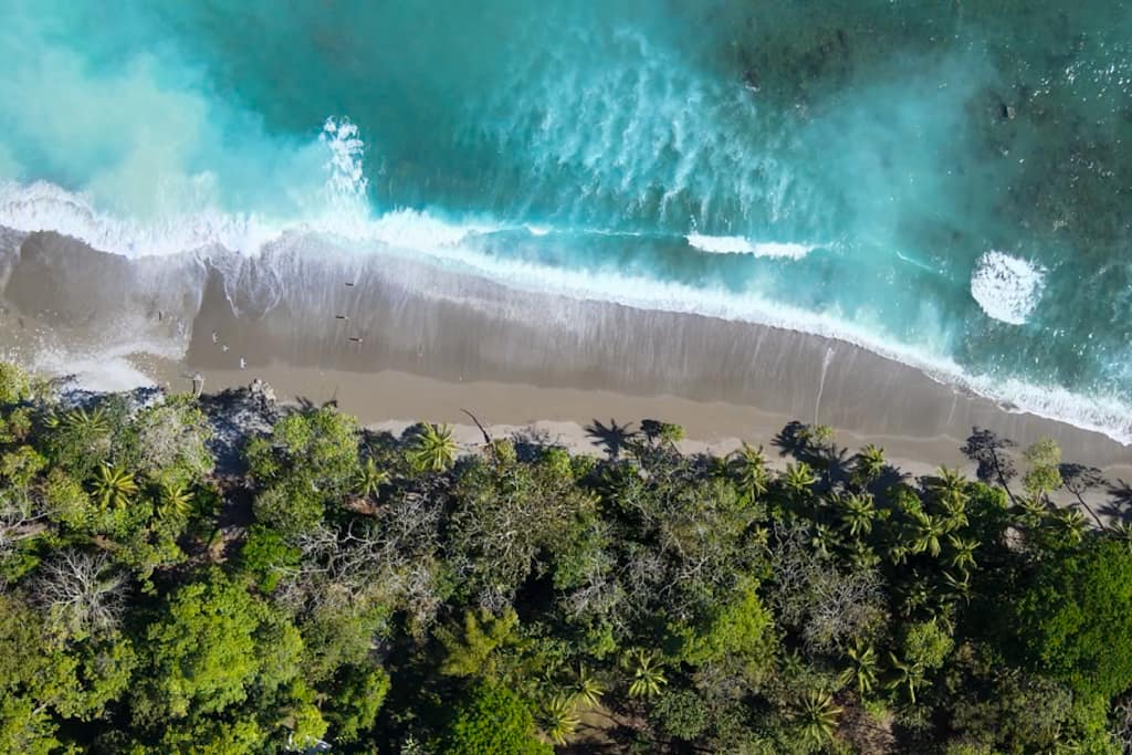 Cabo Matapalo