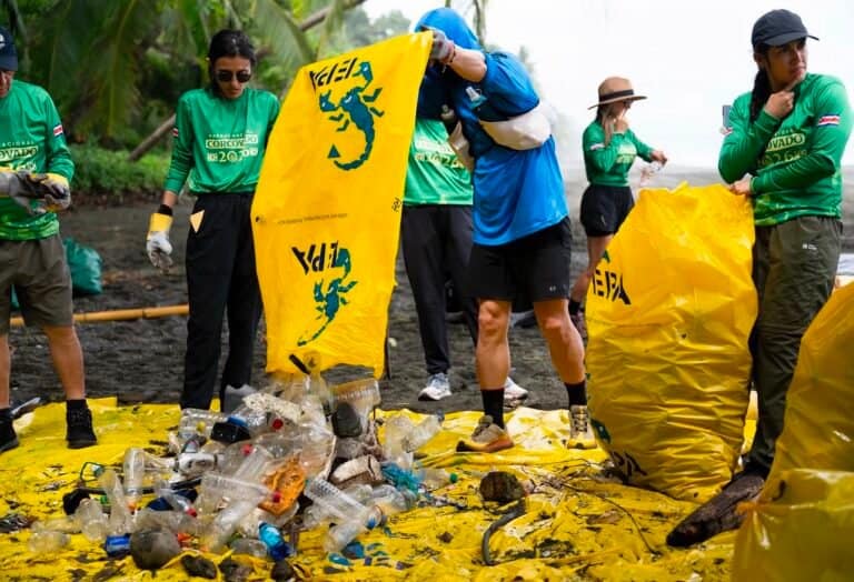 Annual Corcovado Cleanup